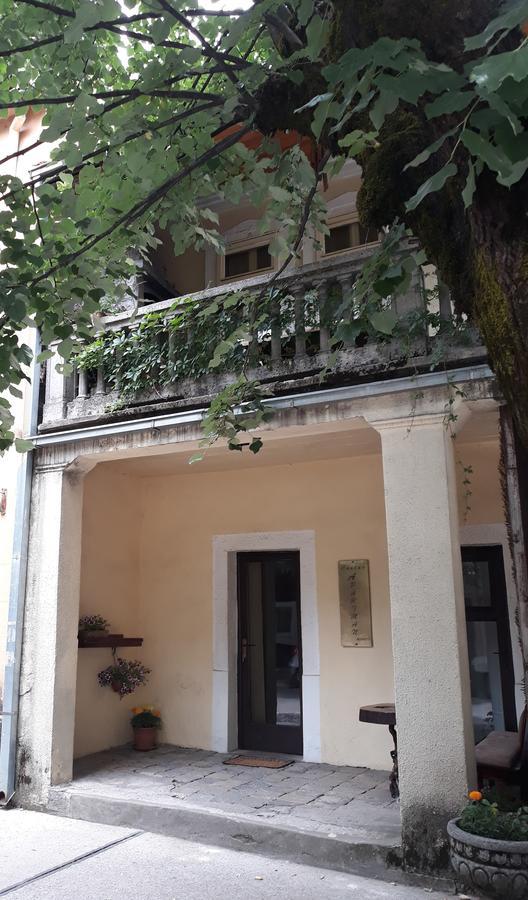 Apartman Centar Cetinje Exteriör bild